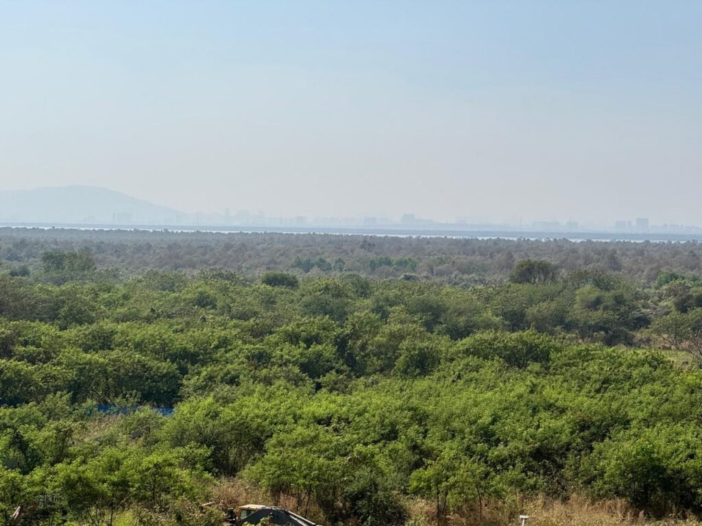 WhatsApp Image 2025-12-22 at 5.44.17 PM